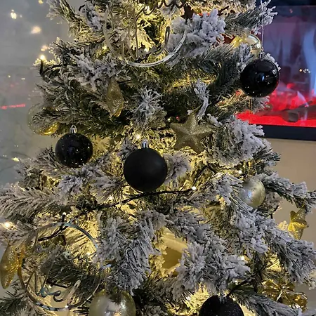 Bienvenue Chez Glad Et Guigui Rinxent