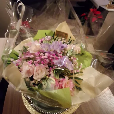 Bienvenue Chez Glad Et Guigui Couette-café 3*