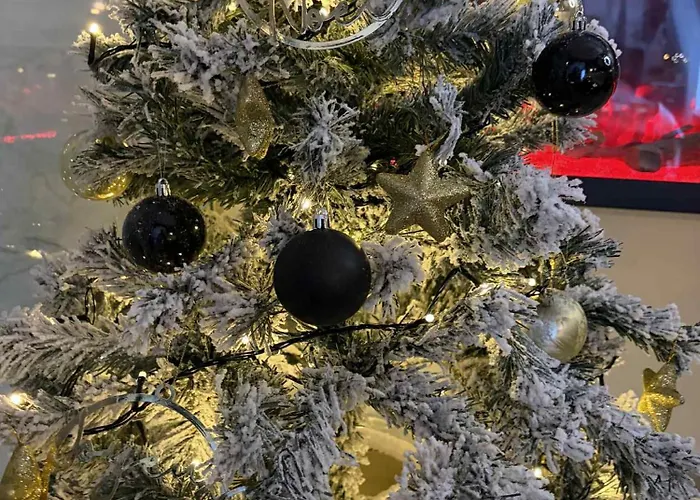 Bienvenue Chez Glad Et Guigui Rinxent