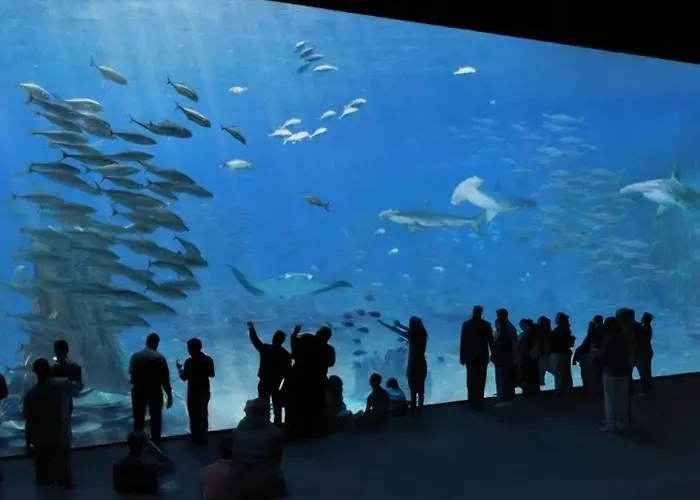 Bienvenue Chez Glad Et Guigui